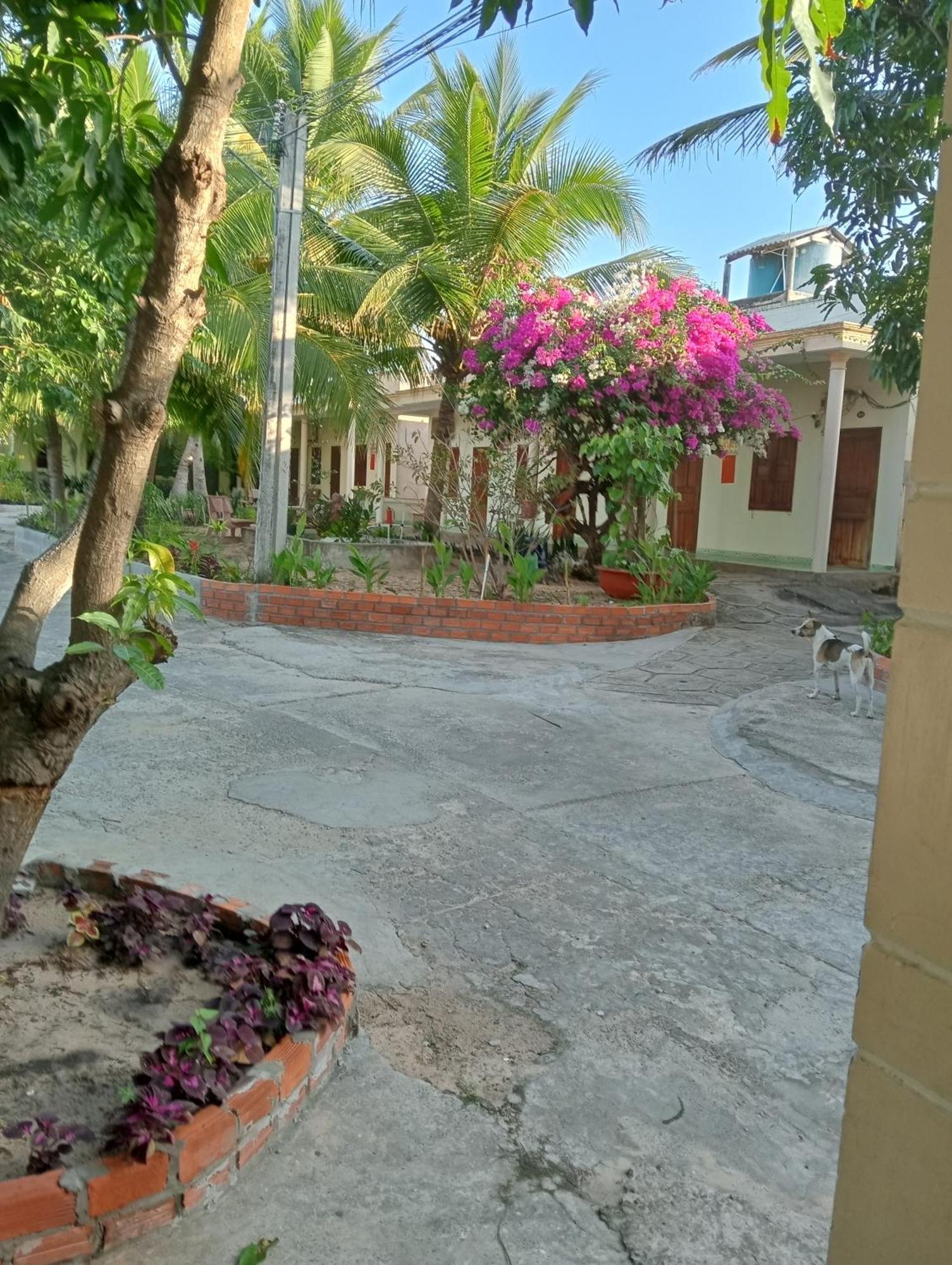 Homestay Nhat Thi Mui Ne Exteriör bild